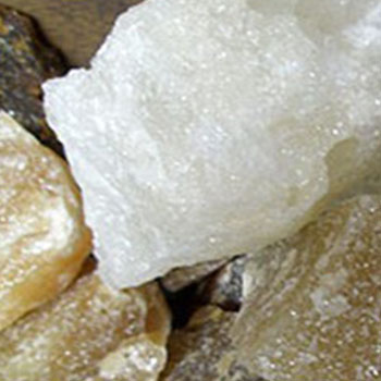 麻豆91传媒一区二区三区四区厂家